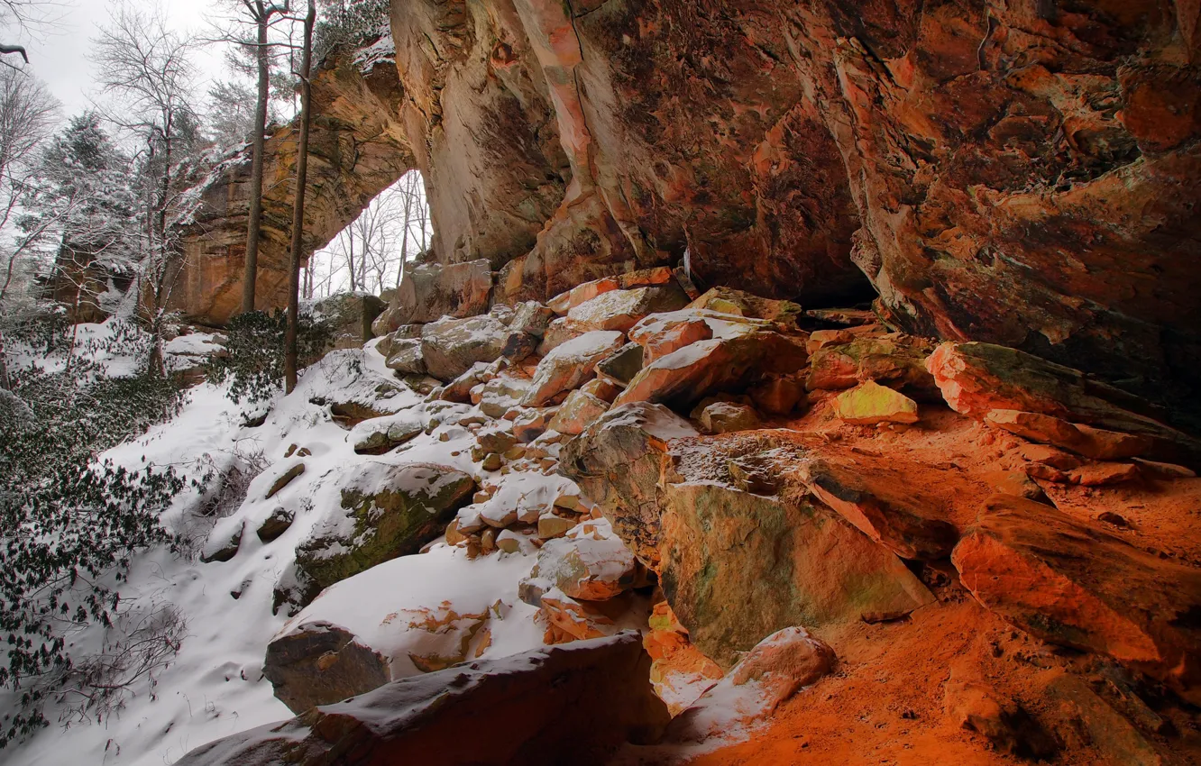 Photo wallpaper winter, snow, trees, rock, USA, Ohio, Vinton