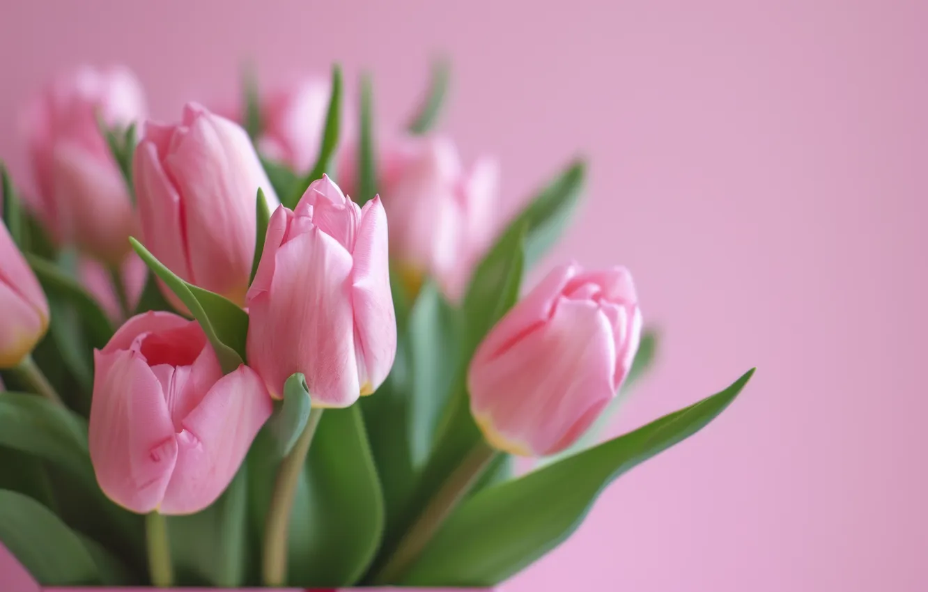 Photo wallpaper leaves, flowers, birthday, holiday, bouquet, spring, petals, tulips
