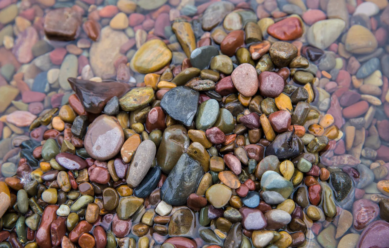 Photo wallpaper water, nature, stones