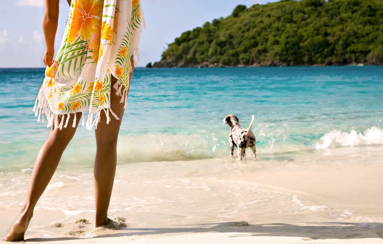 Photo wallpaper sand, sea, girl, the ocean, shore, island, dog, dress