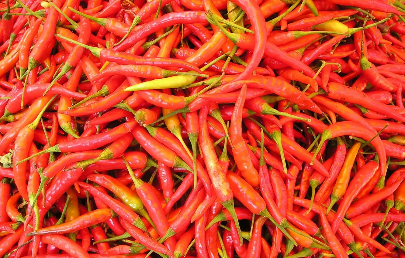Photo wallpaper hot, food, pepper, vegetable, chili pepper