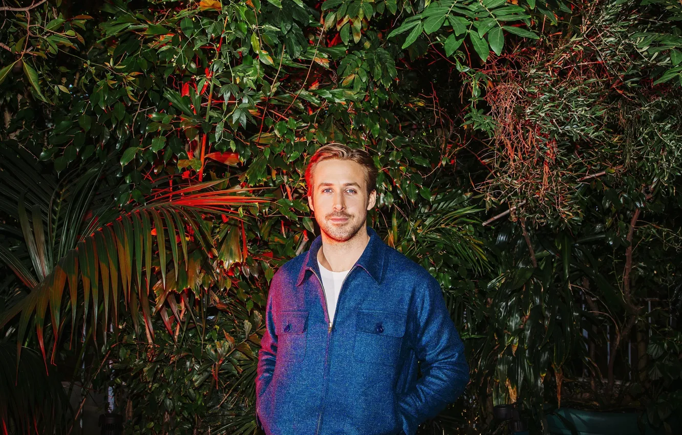 Photo wallpaper night, garden, actor, the bushes, photoshoot, Ryan Gosling, Ryan Gosling, 2015