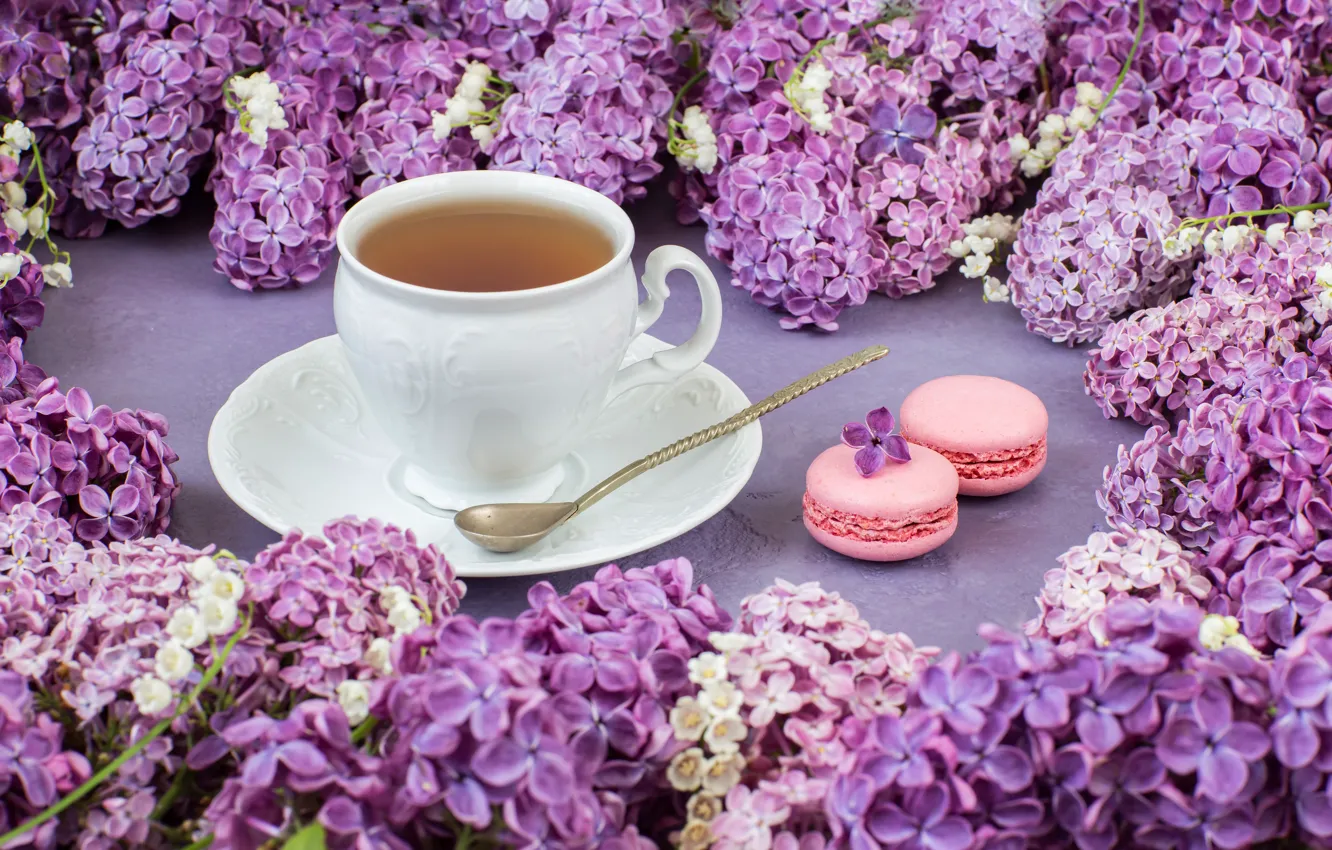 Photo wallpaper morning, Cup, lilac, picene, Julija Vilvarin