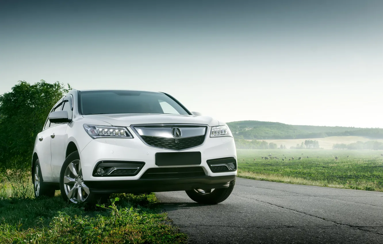 Photo wallpaper car, auto, asphalt, Acura, Automobiles, Automotive, Drive, Editorial