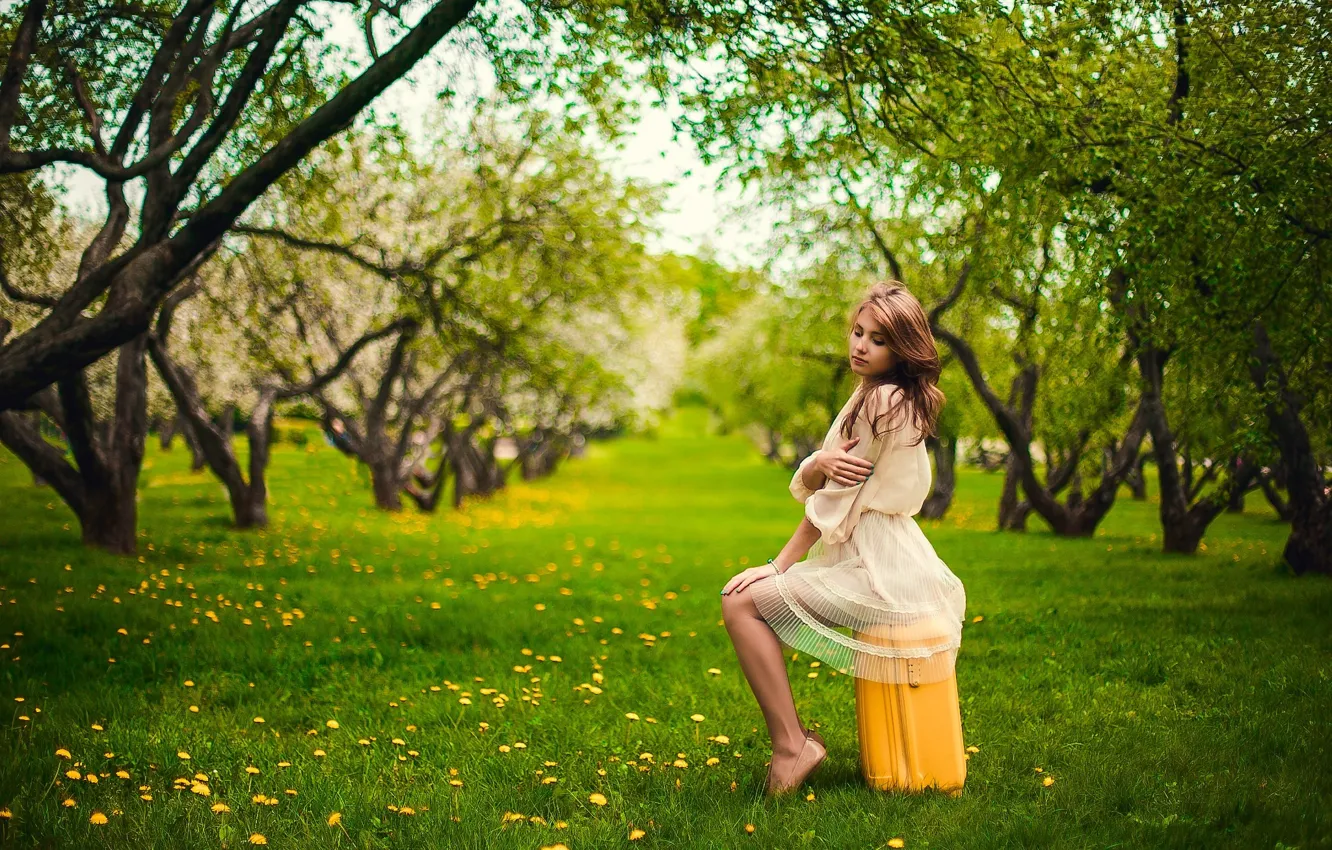 Photo wallpaper green, apple, girl, grass, nature, yellow, sun, garden