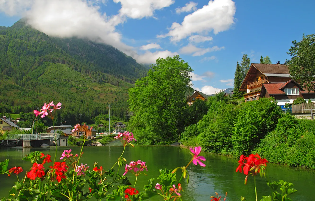 Photo wallpaper forest, clouds, trees, flowers, mountains, lake, home, Austria