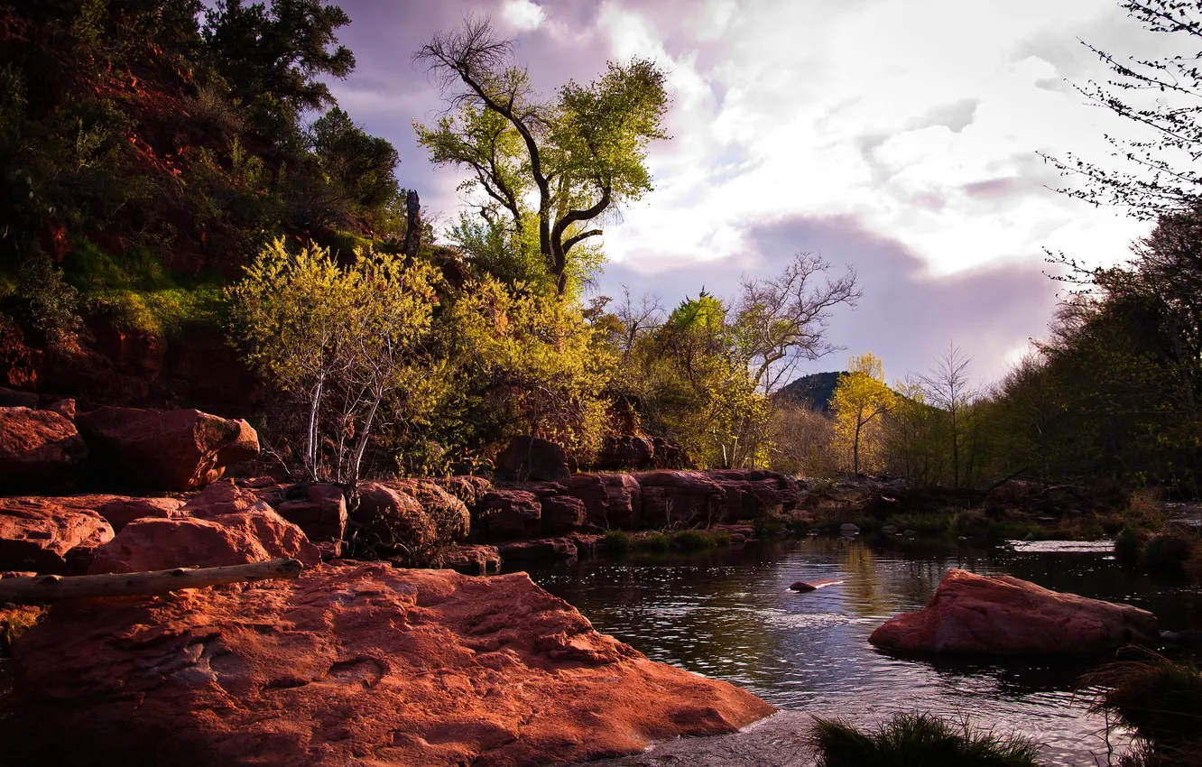 Photo wallpaper autumn, the sky, trees, clouds, river, stones