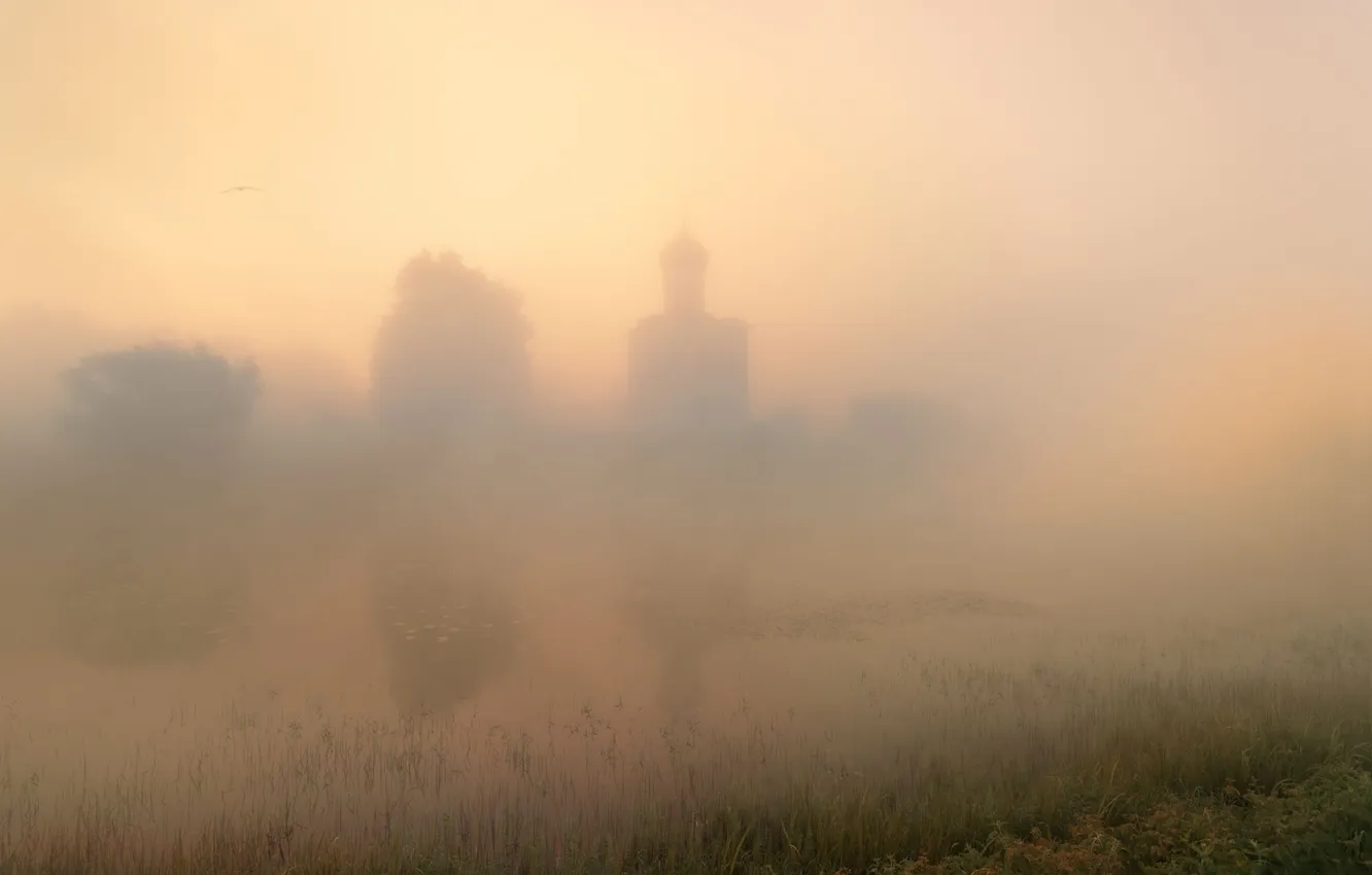 Photo wallpaper Vladimir oblast, Bogolyubovo, Eduard Gordeev, Church of the Intercession on the Nerl