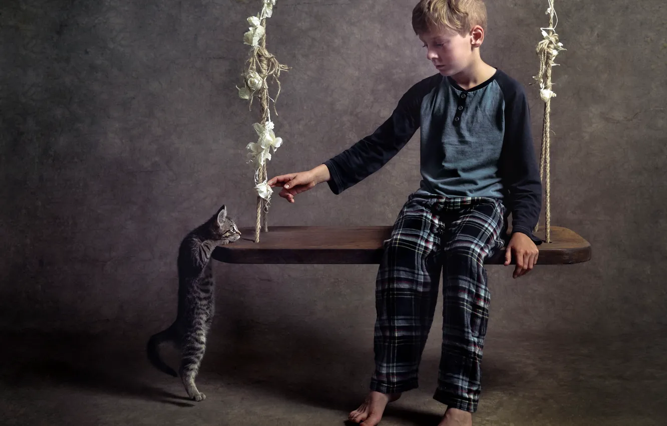 Photo wallpaper cat, swing, boy