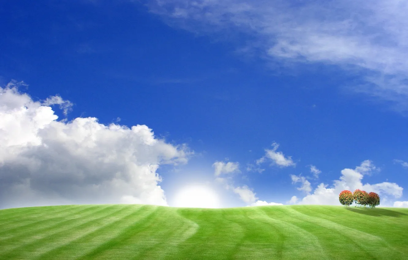 Photo wallpaper field, the sky, grass, trees, hills, landscapes, field