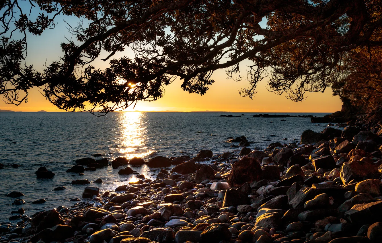 Photo wallpaper sea, sunset, branches, stones, tree, coast, Bay, New Zealand