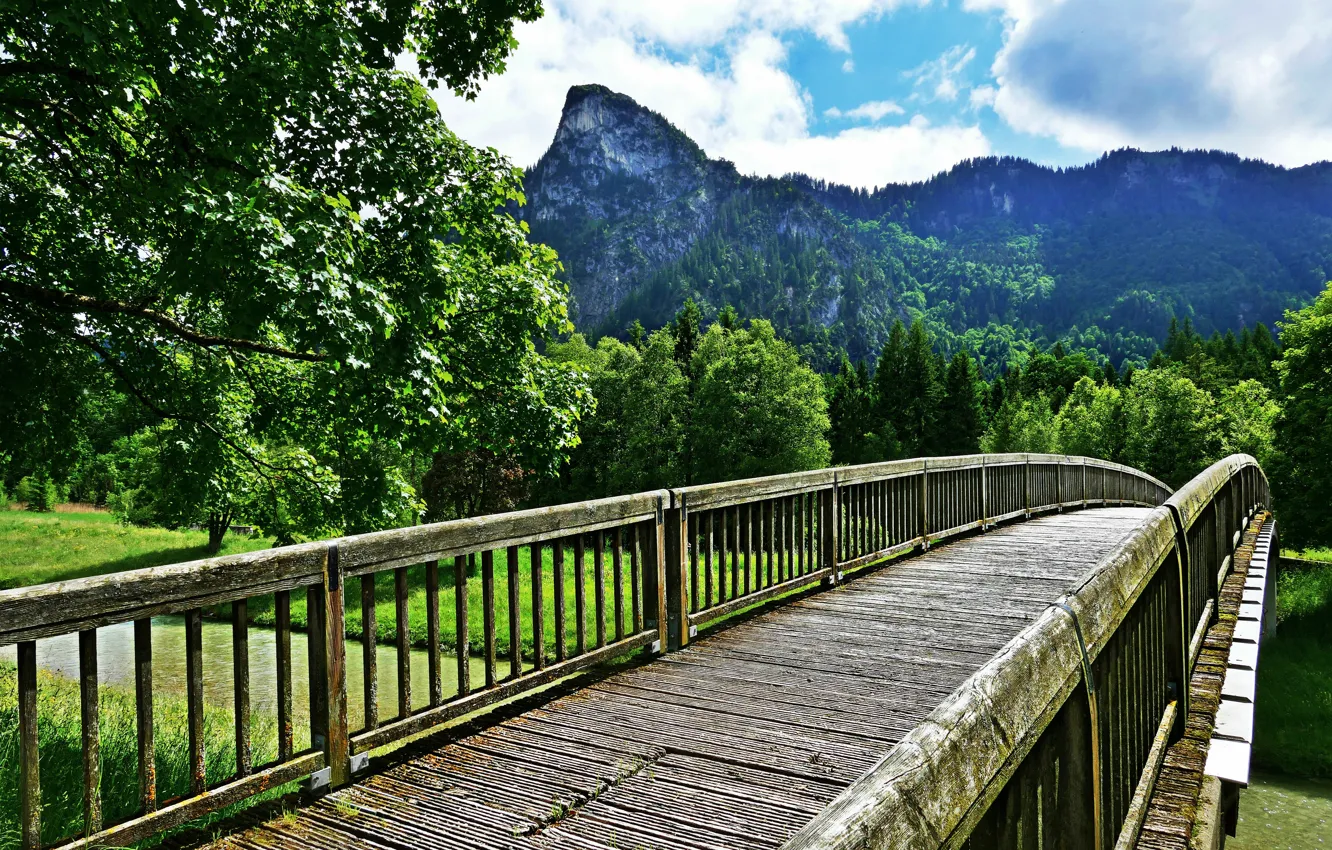 Photo wallpaper forest, river, bridge, mountains, beautiful landscape