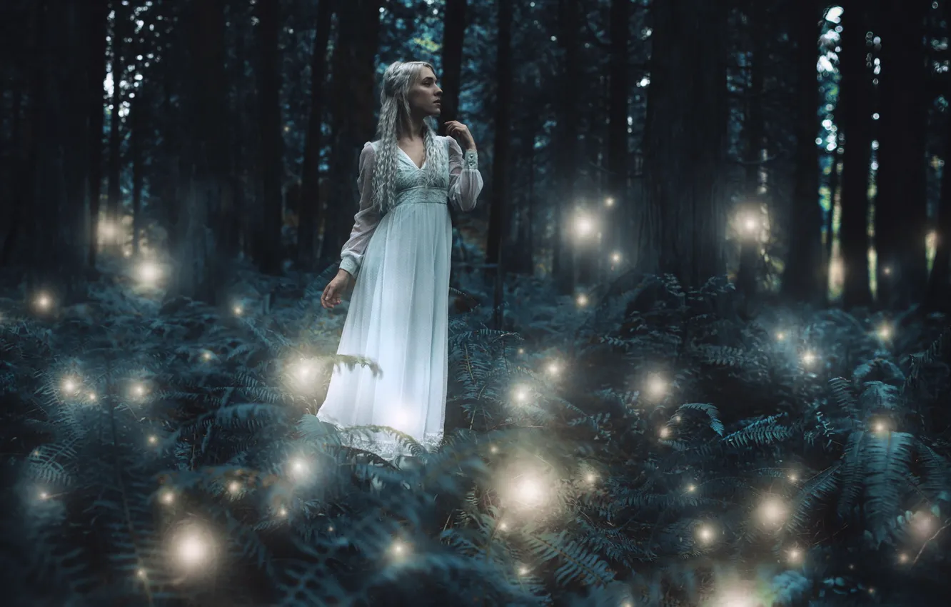 Photo wallpaper forest, girl, night