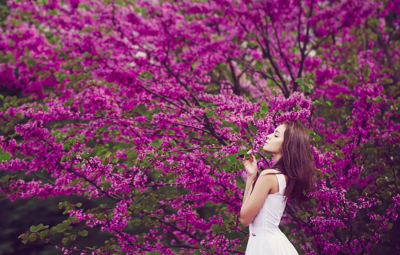 Photo wallpaper girl, spring, flowering