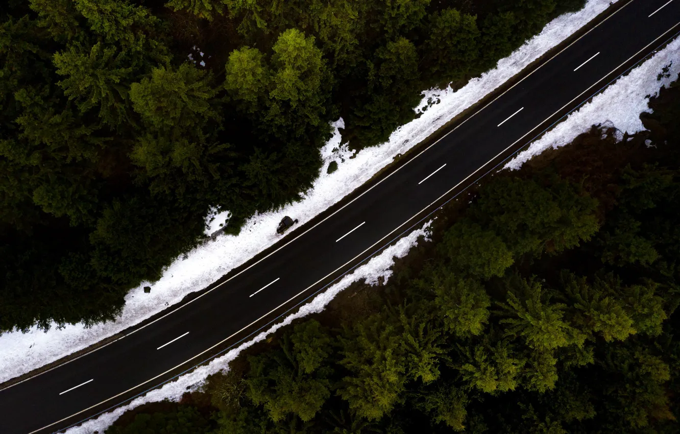Photo wallpaper road, forest, nature