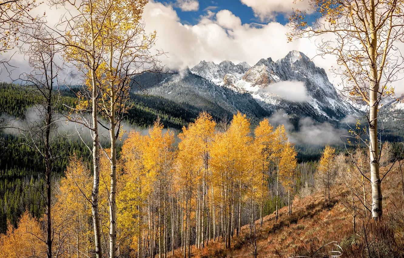 Photo wallpaper autumn, mountains, nature