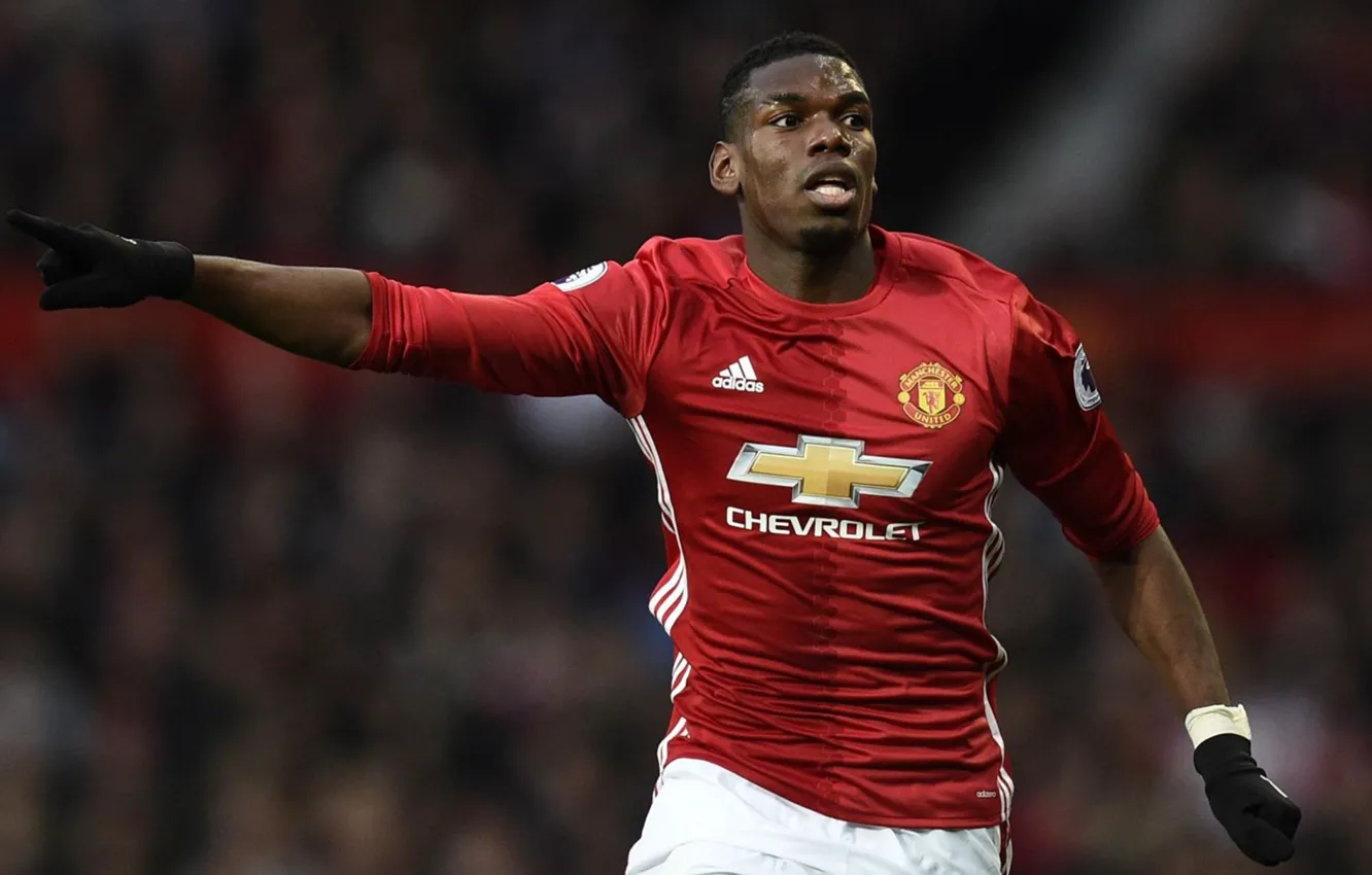Photo wallpaper football, sport, football, Manchester United, Manchester Unaited, Pogba, Pogba