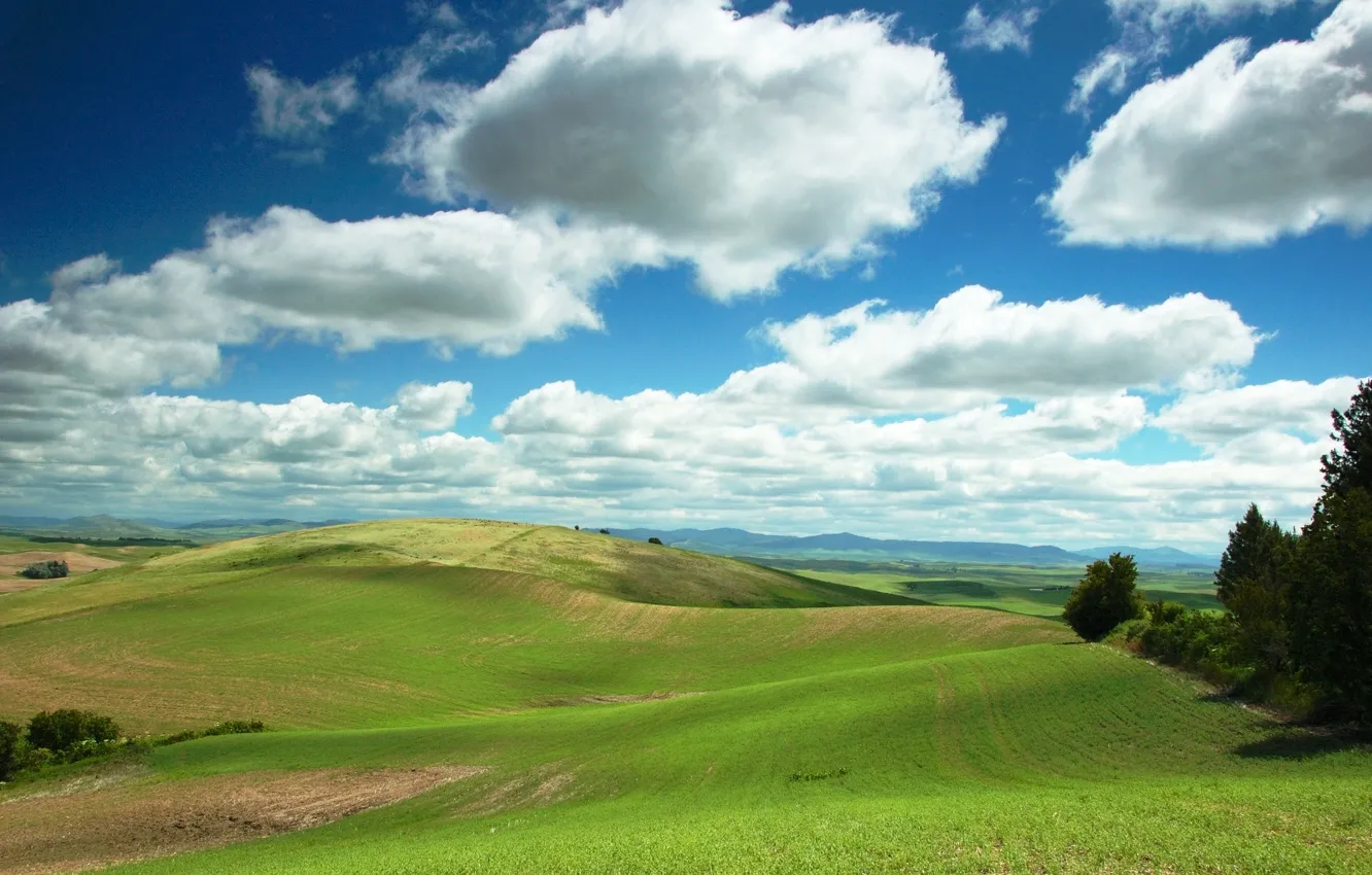 Photo wallpaper the sky, clouds, hills, Field
