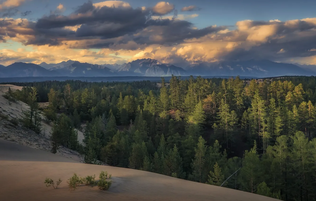 Photo wallpaper sand, forest, clouds, landscape, mountains, nature, Transbaikalia, Sergey Mezhin