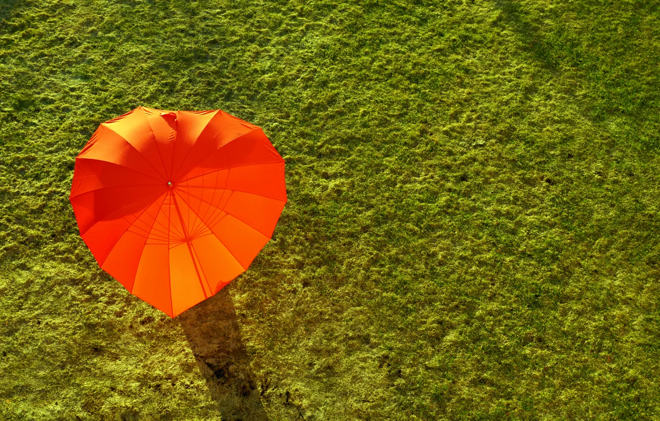 Photo wallpaper green, red, summer, grass, holidays, field, umbrella, sunlight