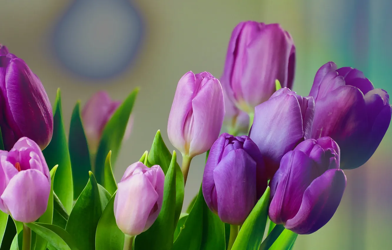 Photo wallpaper flowers, bouquet, spring, tulips, buds, lilac