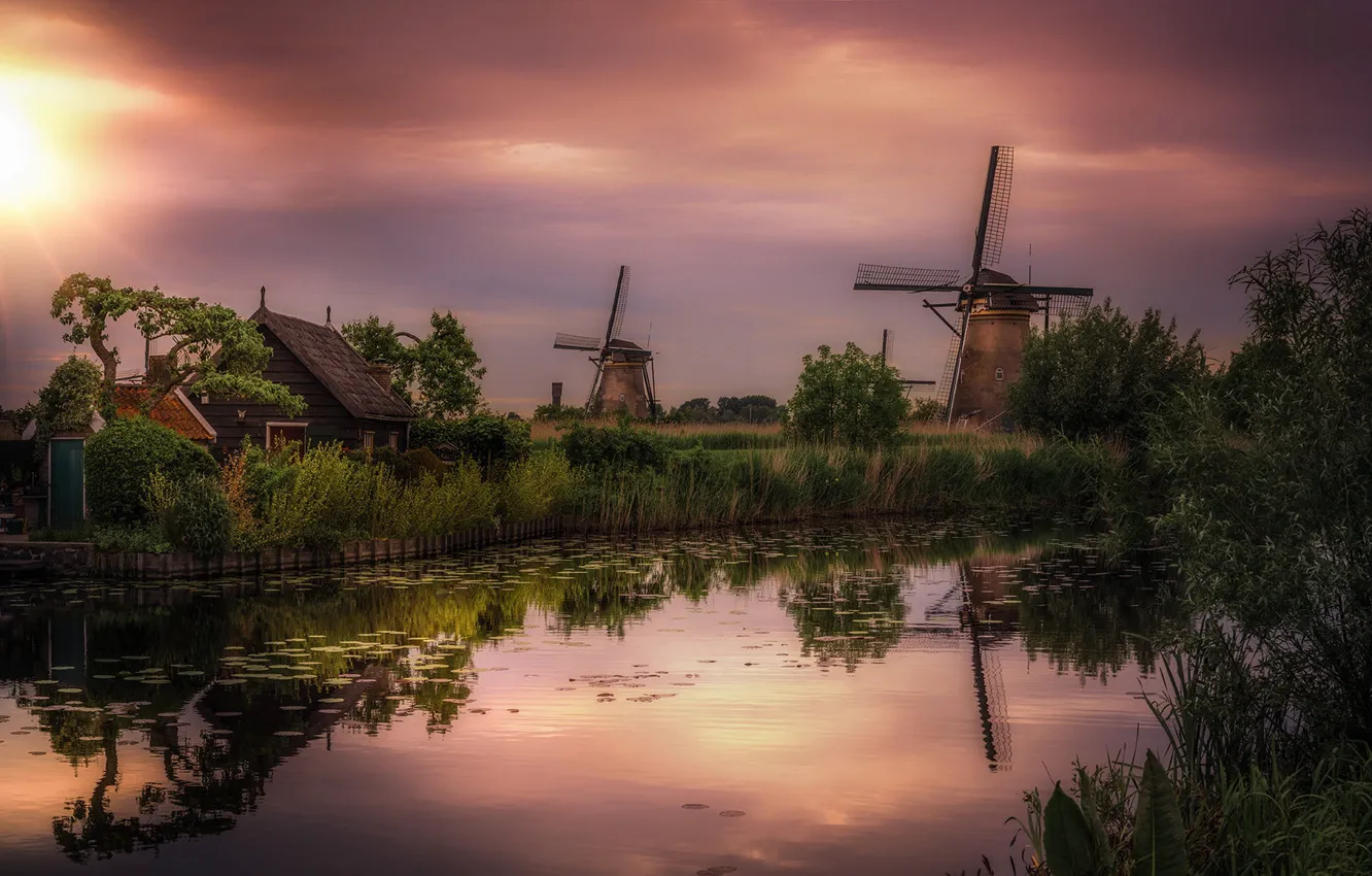 Photo wallpaper the sky, grass, leaves, the sun, clouds, sunset, branches, lake