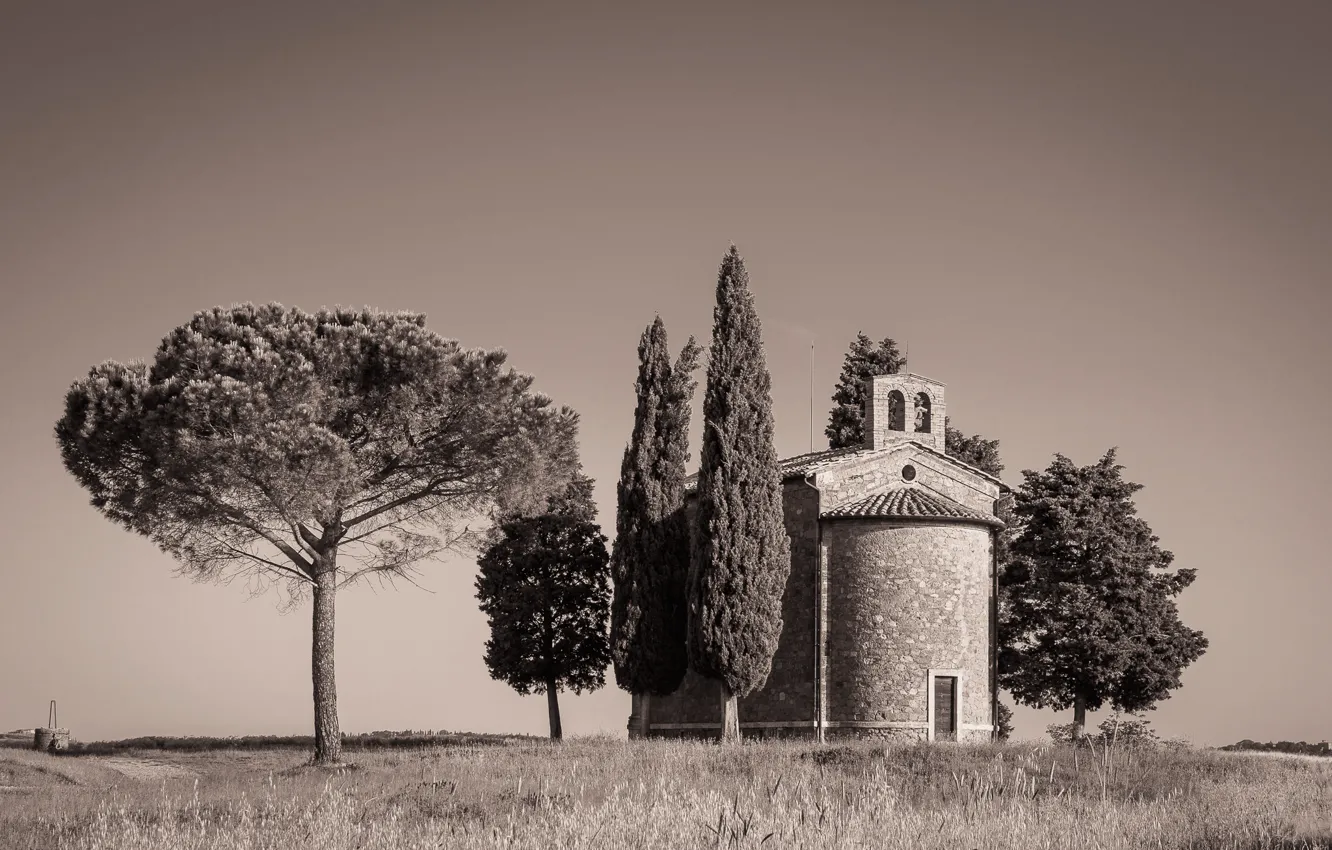 Photo wallpaper field, trees, Italy, Tuscany, Chapel Of Our Lady Of Vitaleta