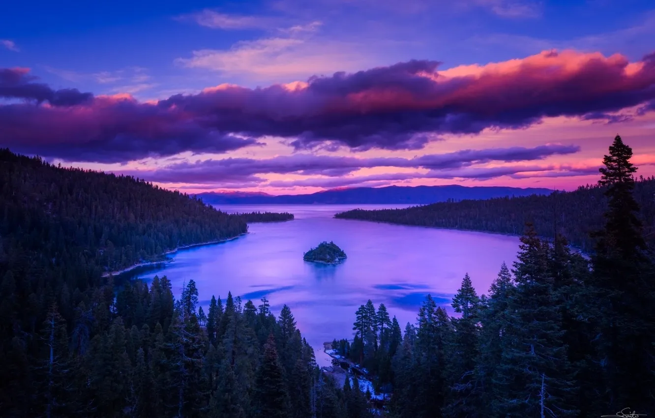 Photo wallpaper forest, trees, mountains, lake, dawn, island
