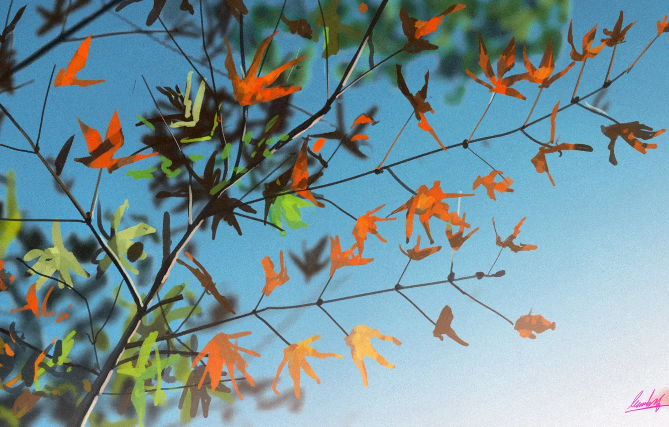 Photo wallpaper the sky, leaves, branch