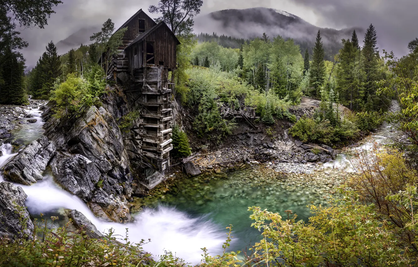 Wallpaper forest, river, mill for mobile and desktop, section природа