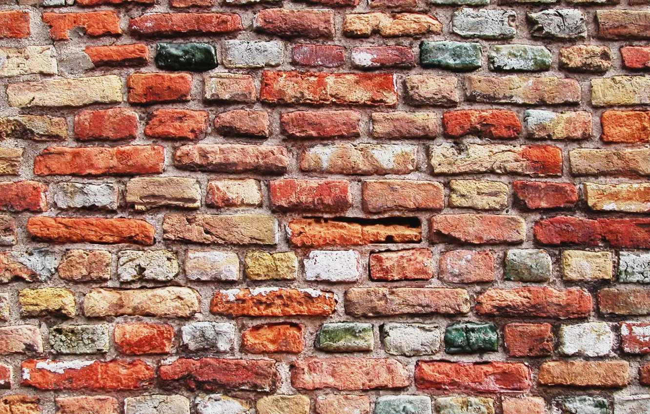 Photo wallpaper wall, brick, texture, wall