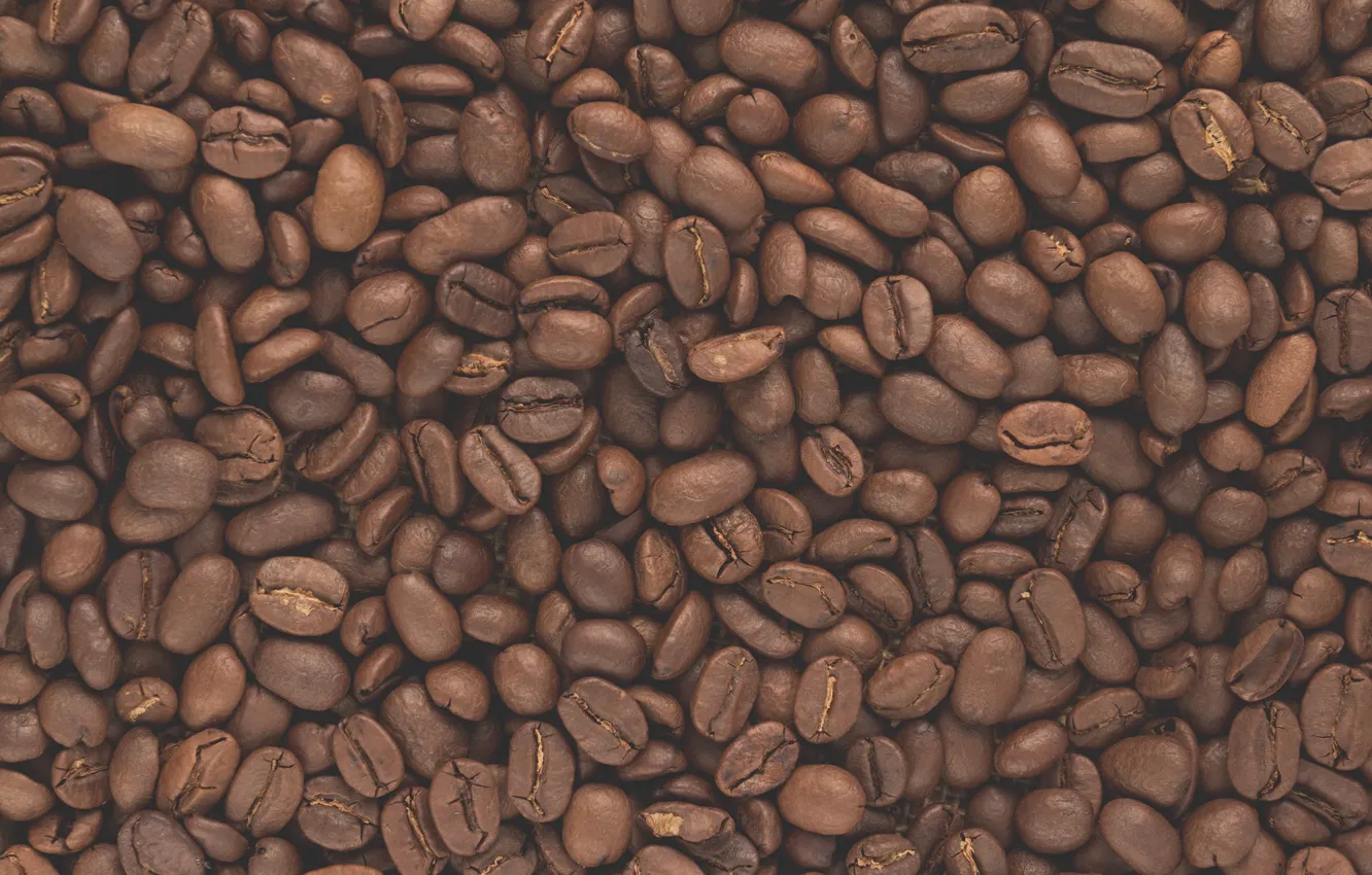 Photo wallpaper coffee, grain, texture