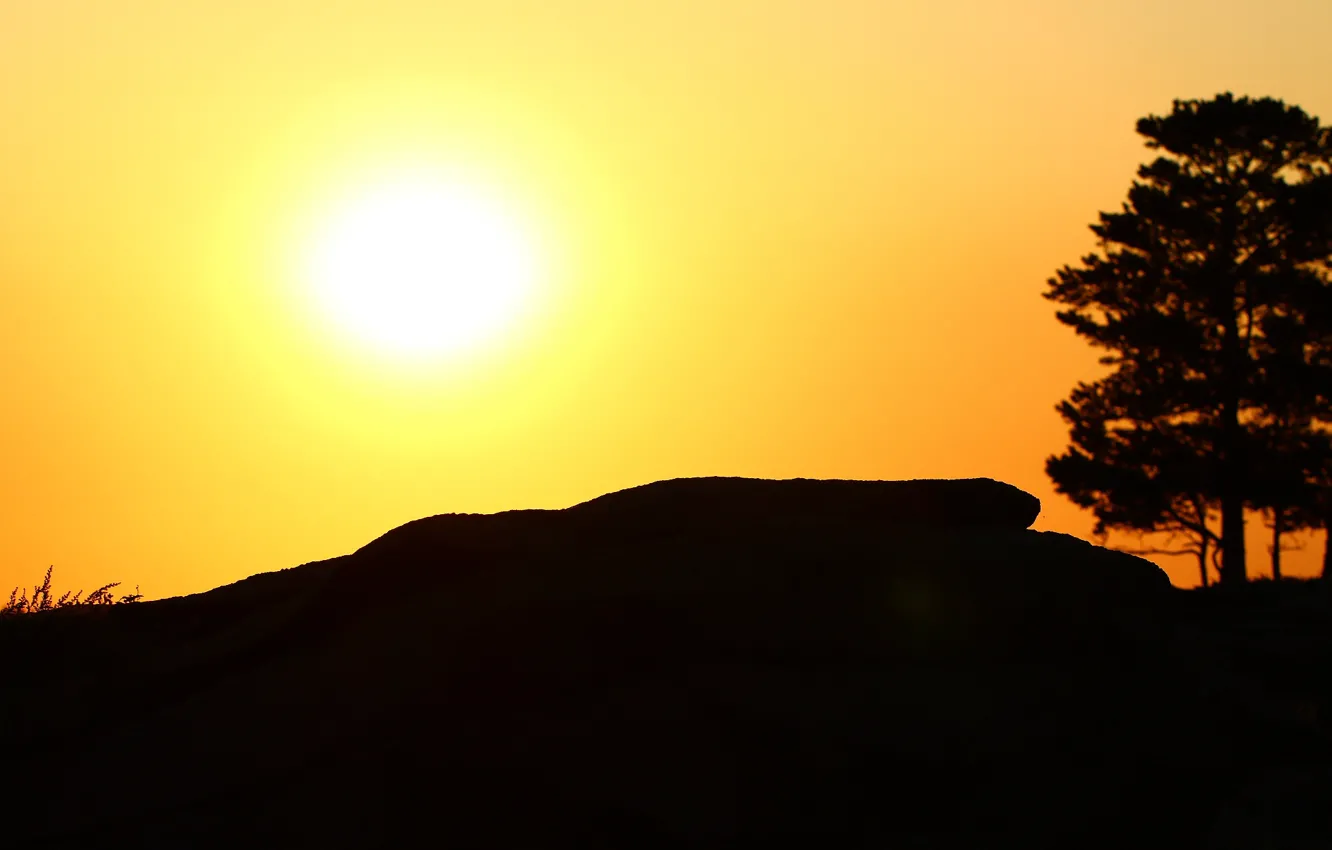 Photo wallpaper forest, sunset, rocks
