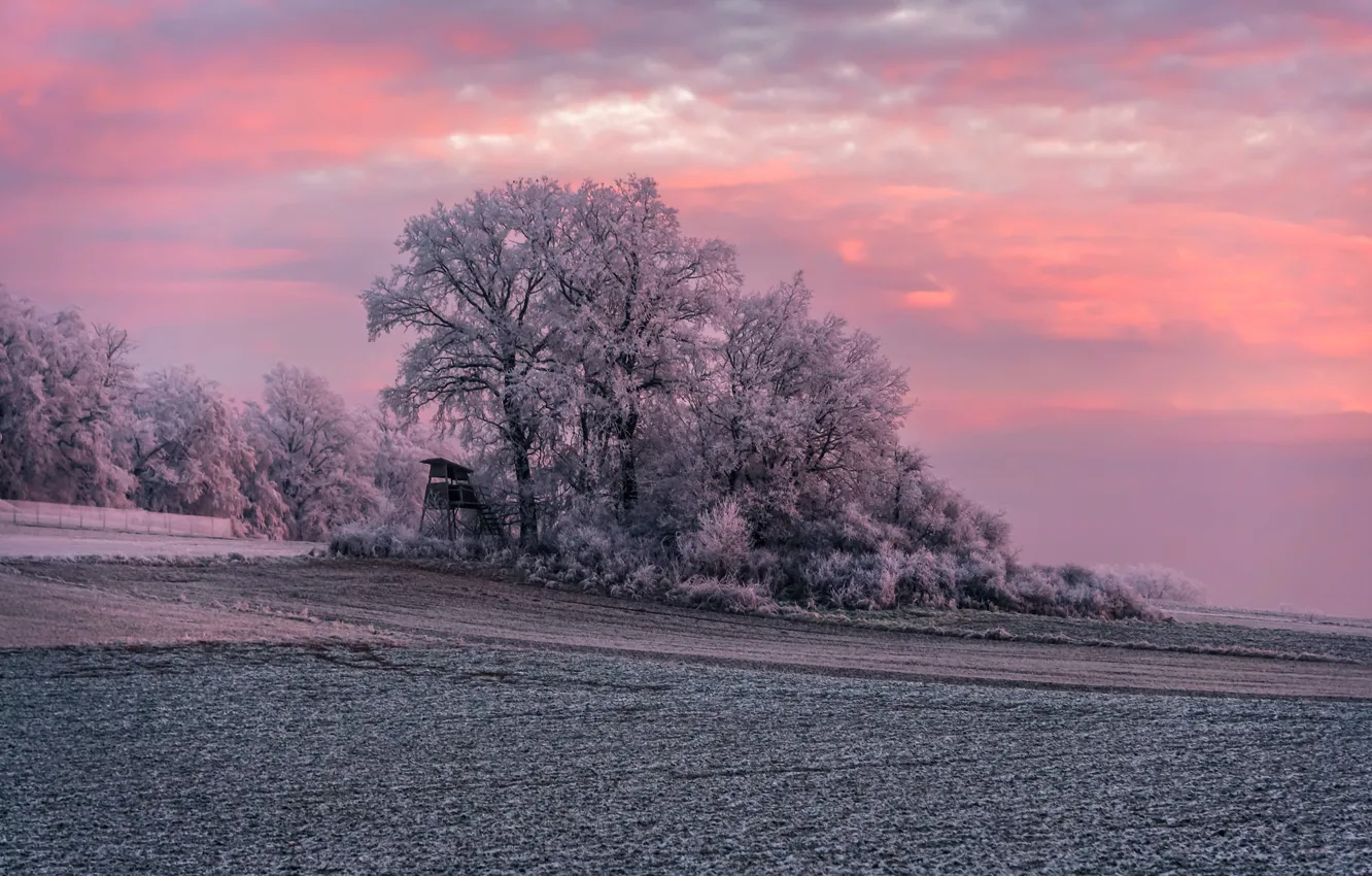 Photo wallpaper winter, frost, field, sunset