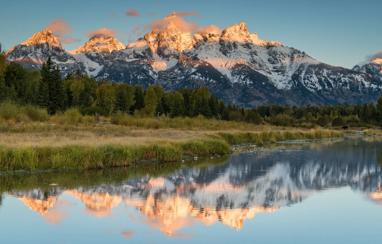 Photo wallpaper autumn, forest, the sky, grass, clouds, light, landscape, mountains