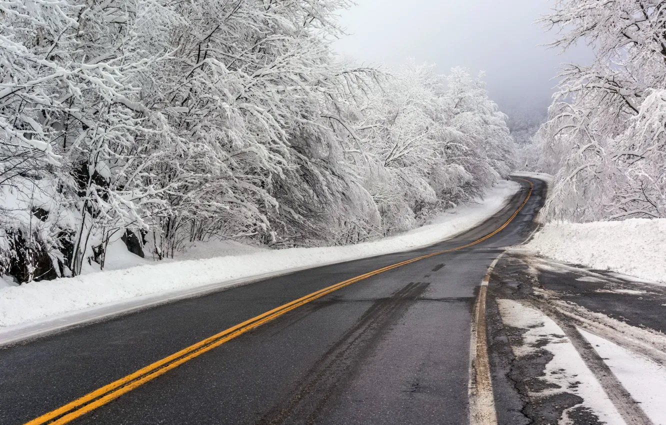 Photo wallpaper winter, road, snow