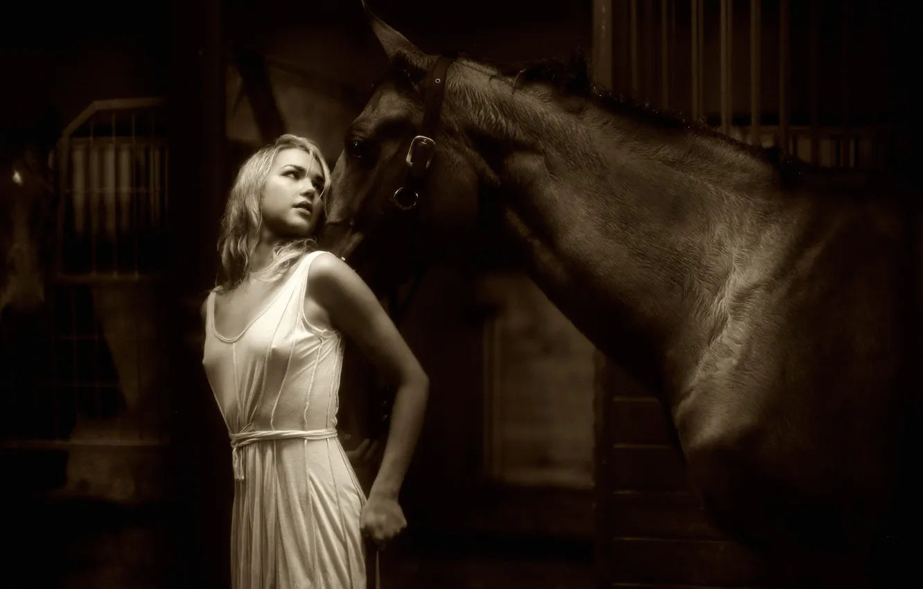 Photo wallpaper model, horse, Sepia, blonde, Arielle Kebbel