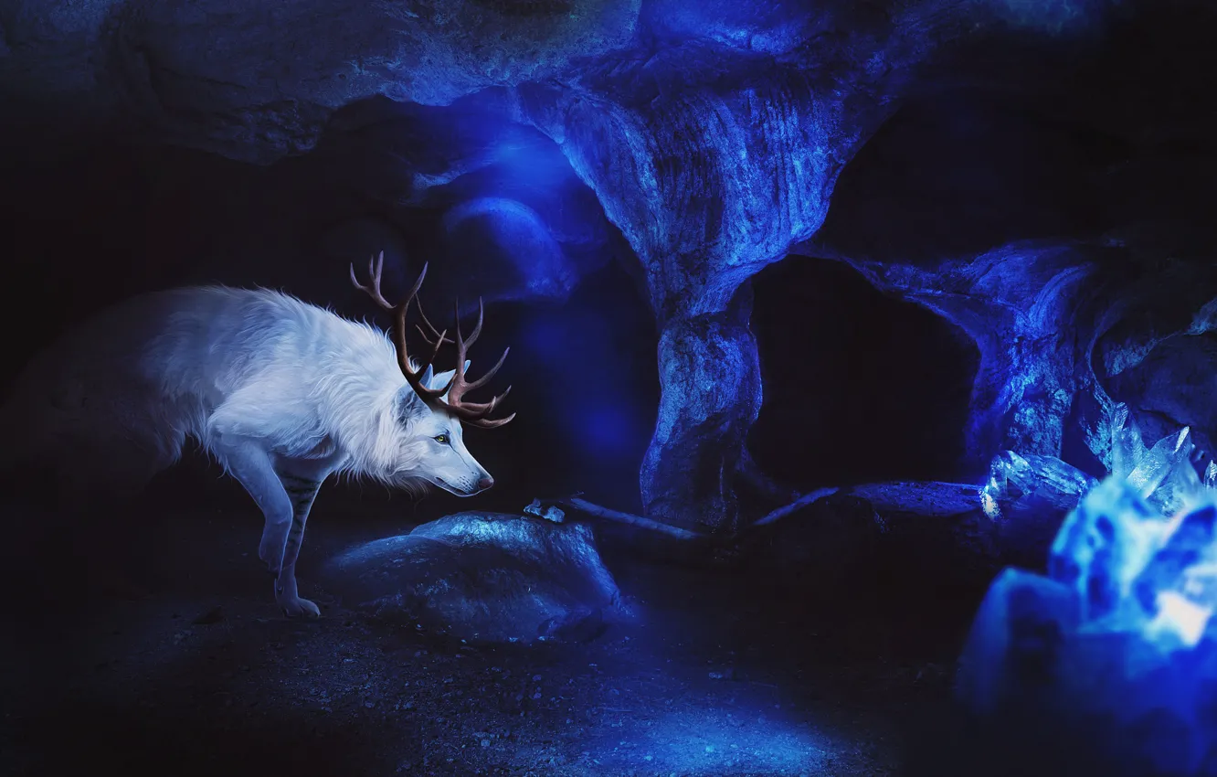 Photo wallpaper ice, wolf, fantasy, cave, by Fiirewolf