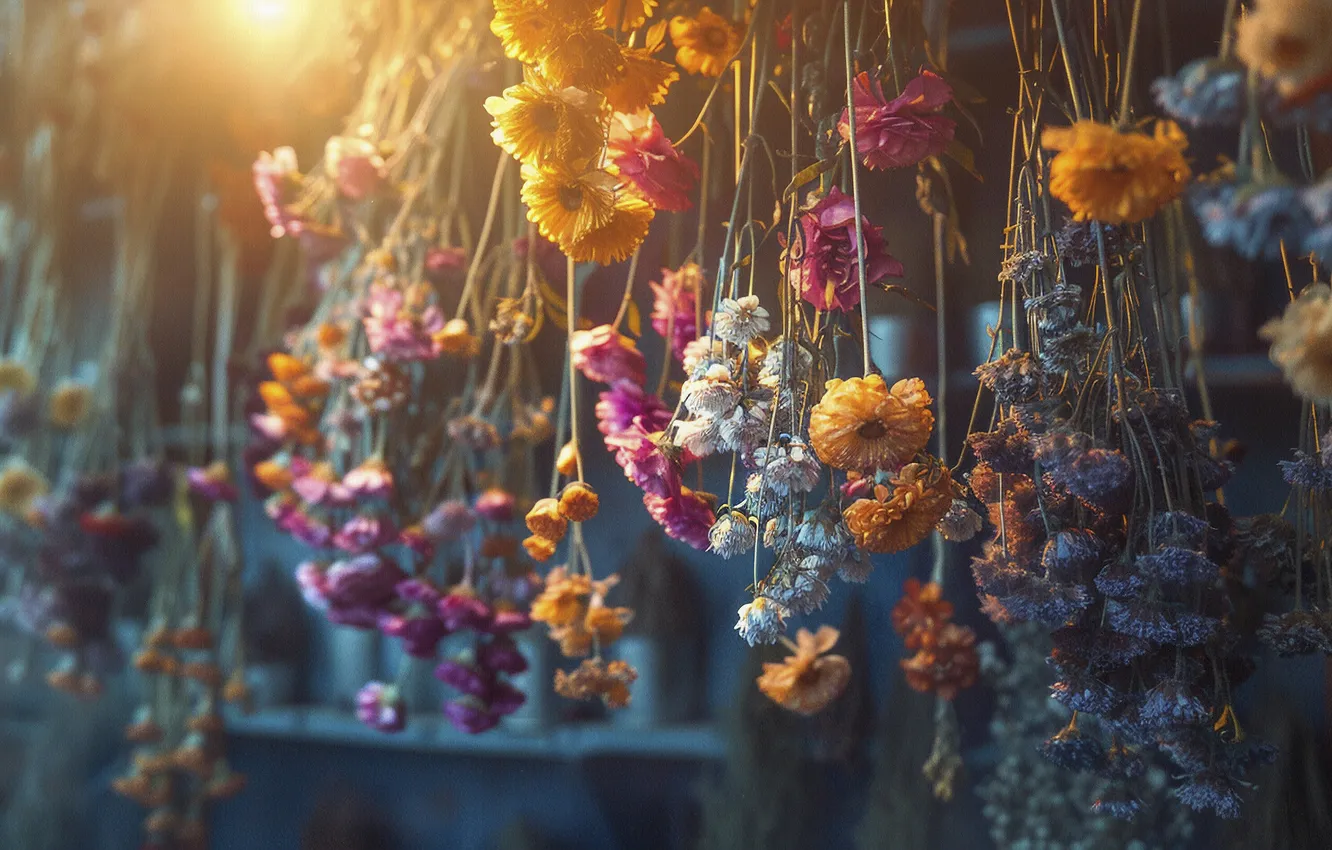 Photo wallpaper rays, light, flowers, dried, bouquets, hang, dry flowers, AI art