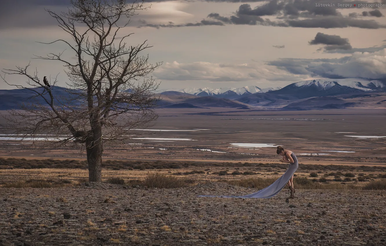 Photo wallpaper girl, trees, nature, the atmosphere, crows, Heath, Litovkin