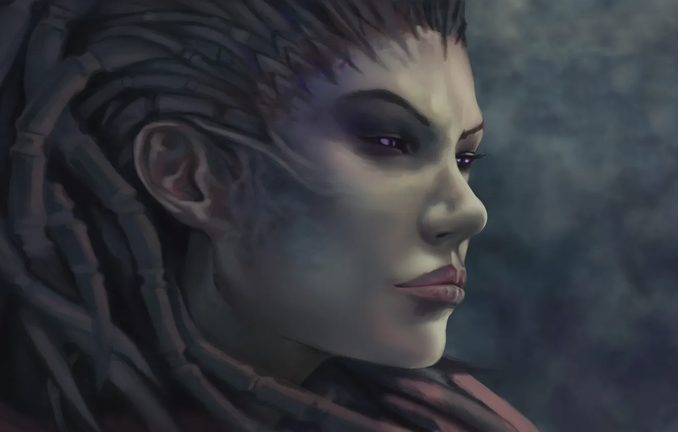 Photo wallpaper face, zerg, Sarah Kerrigan, StarCraft, queen of blades