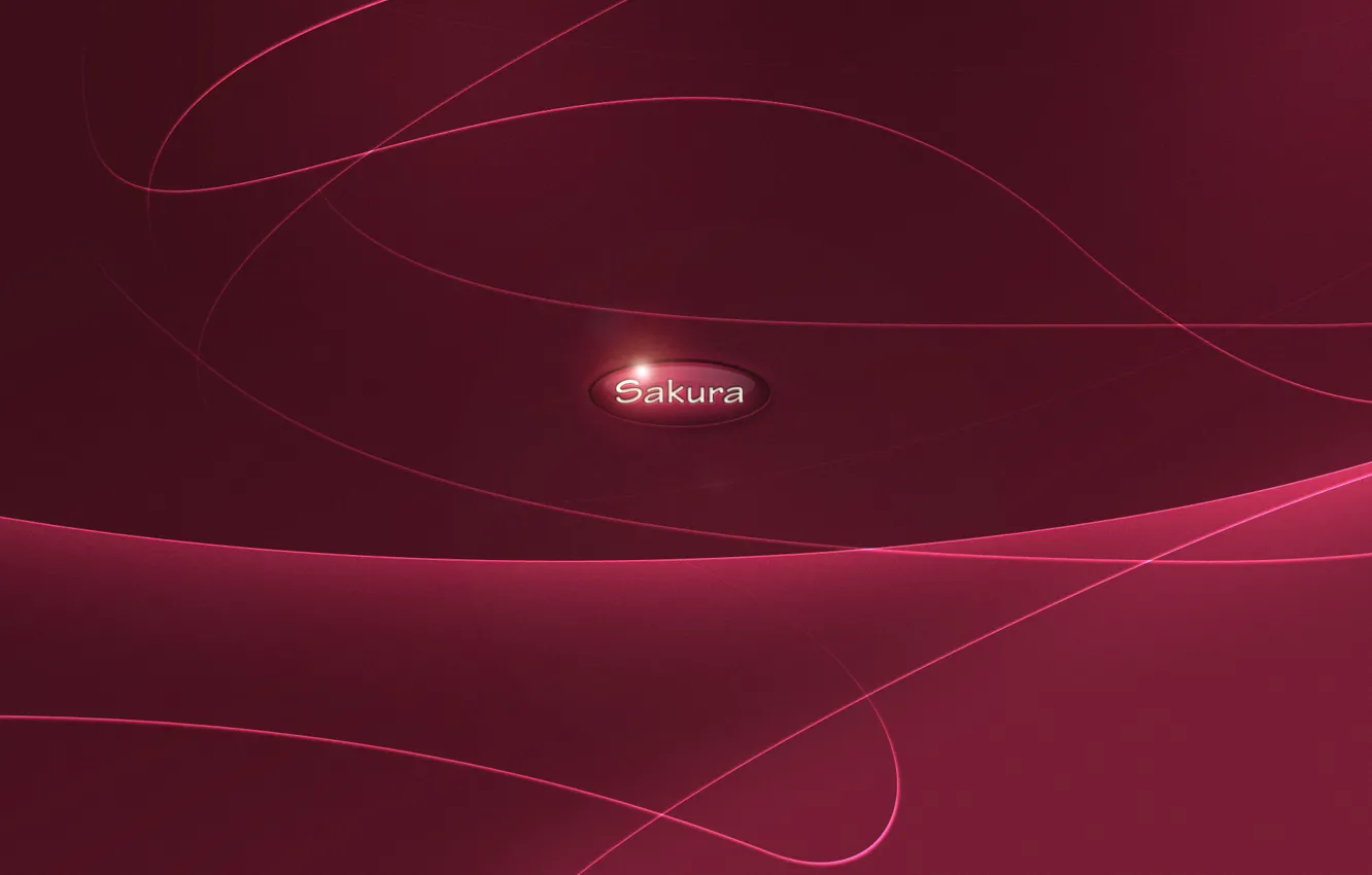 Photo wallpaper pink, lines, sakura