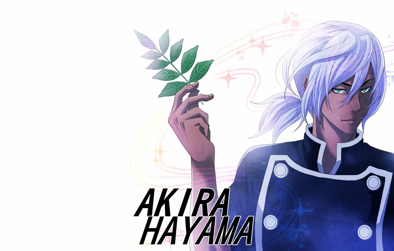 Photo wallpaper guy, seasoning, Shokugeki no Souma, In the search for the divine recipe, Hayama Akira