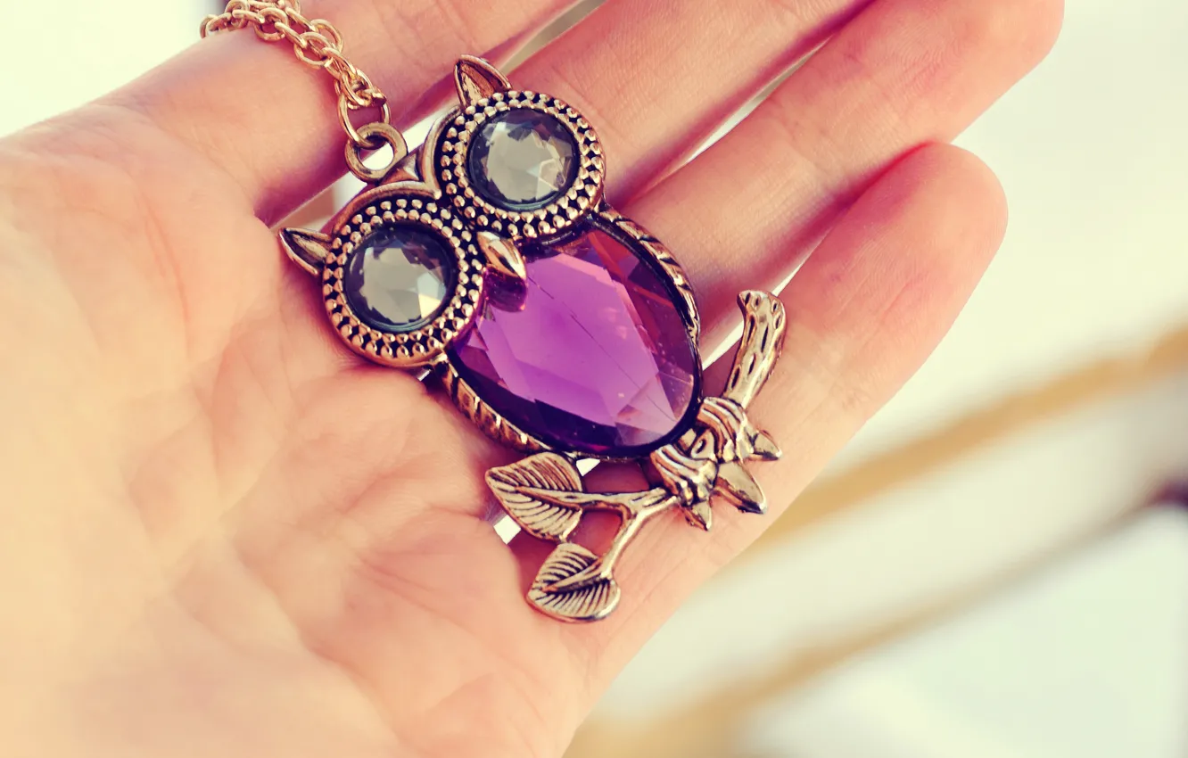 Photo wallpaper decoration, owl, hands, chain