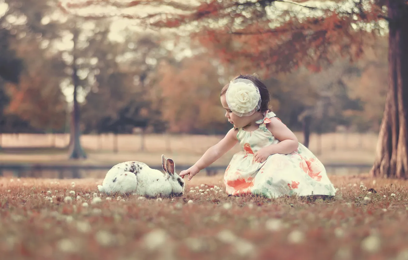 Photo wallpaper rabbit, girl, bow