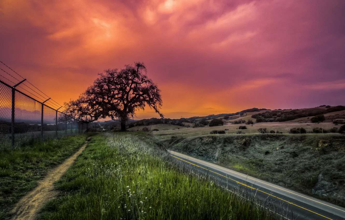 Photo wallpaper road, landscape, sunset, the fence, HDR