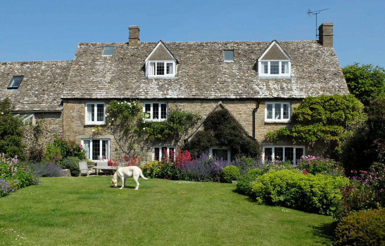 Photo wallpaper house, lawn, dog, garden, UK, the bushes, Cotswolds