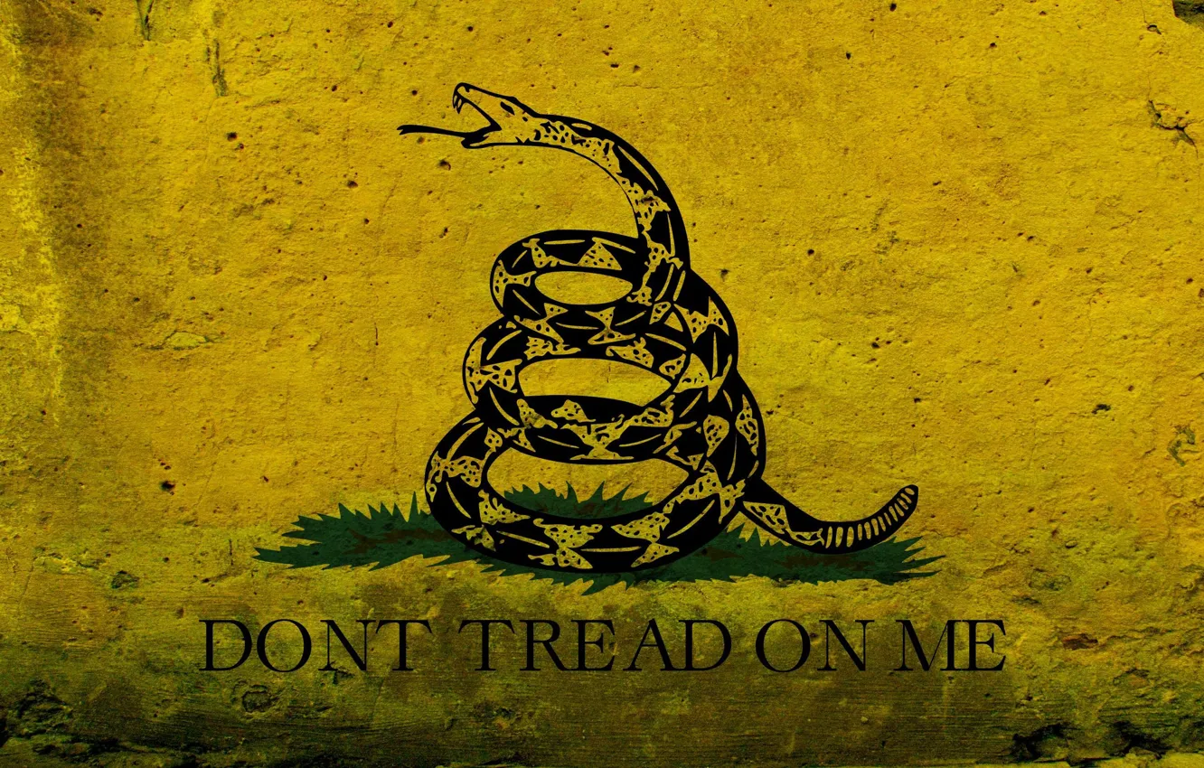 Photo wallpaper figure, graphics, snake, flag