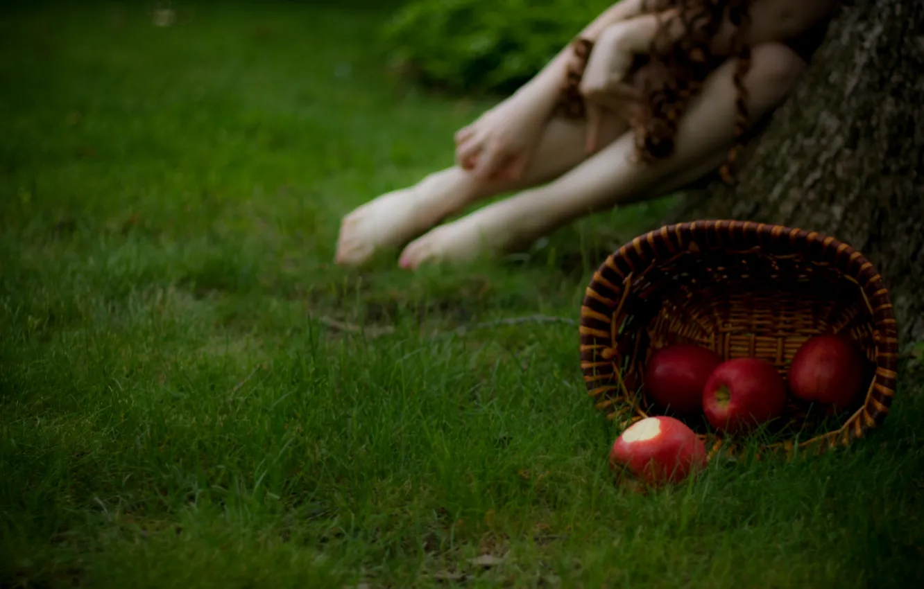 Photo wallpaper grass, girl, macro, photo, background, basket, apples, blur