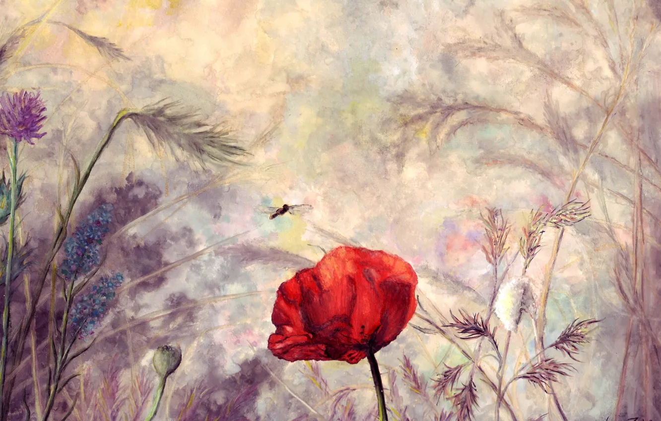 Photo wallpaper field, nature, Mac, spikelets